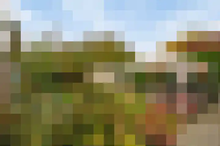 Bornerkapelstraat 21 Born thumbnail 38
