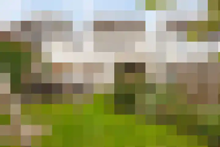 Bornerkapelstraat 21 Born thumbnail 43