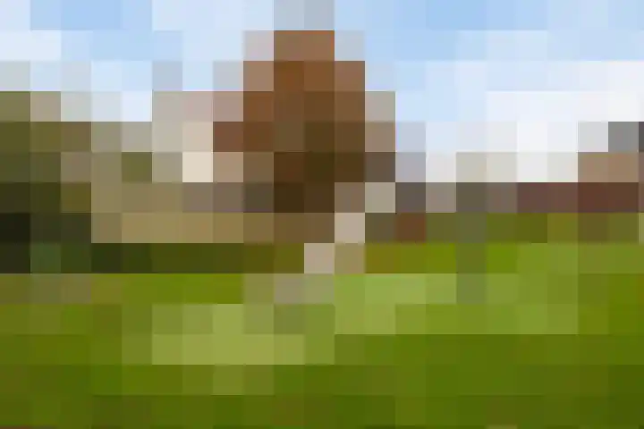 Bornerkapelstraat 21 Born thumbnail 46