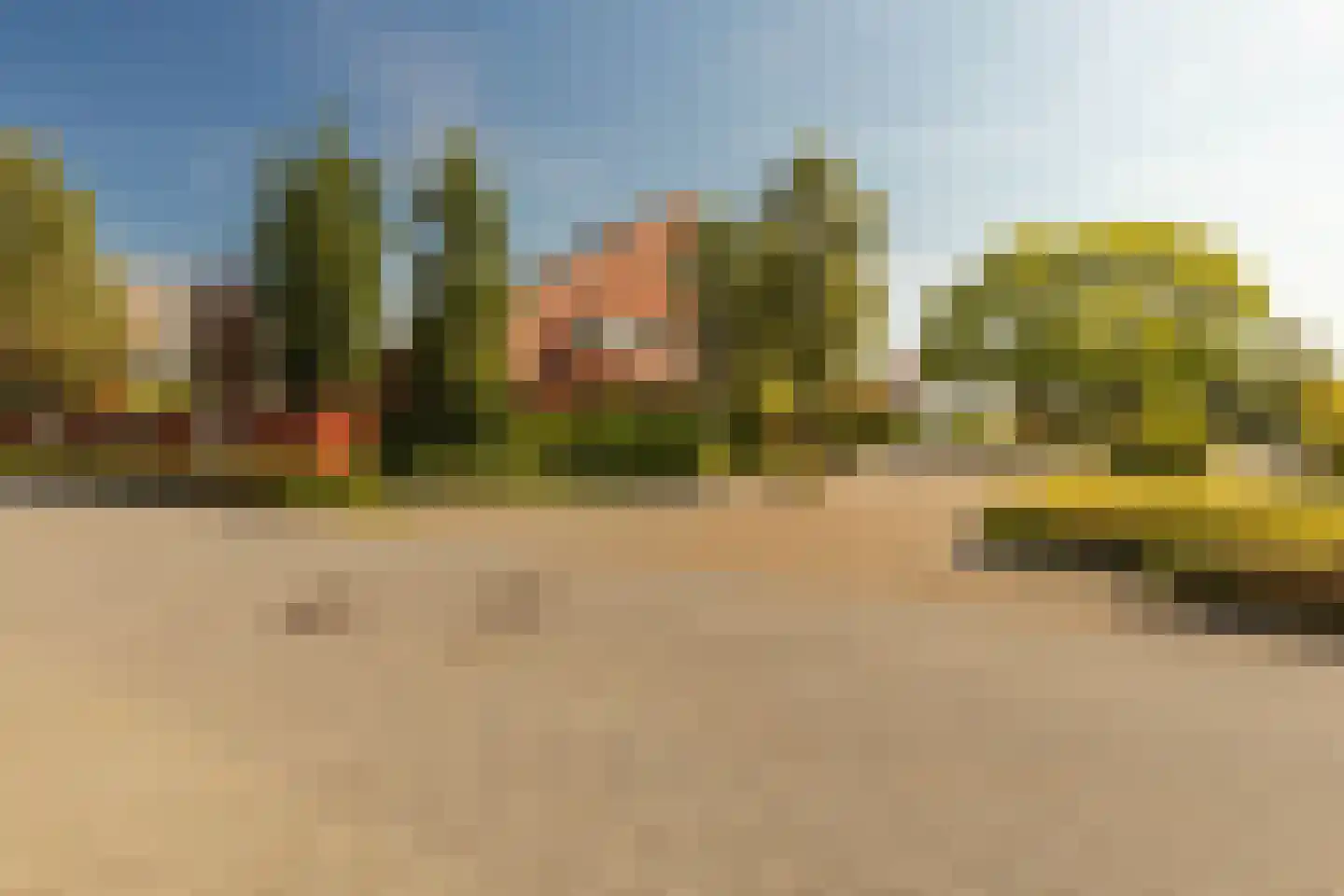 Bornerveldstraat 55 Born thumbnail 10