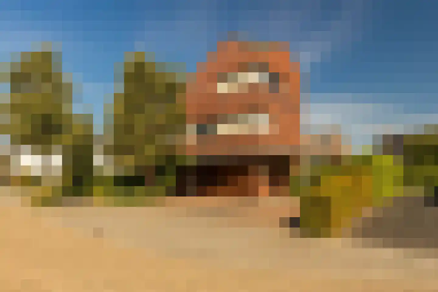 Bornerveldstraat 55 Born thumbnail 11