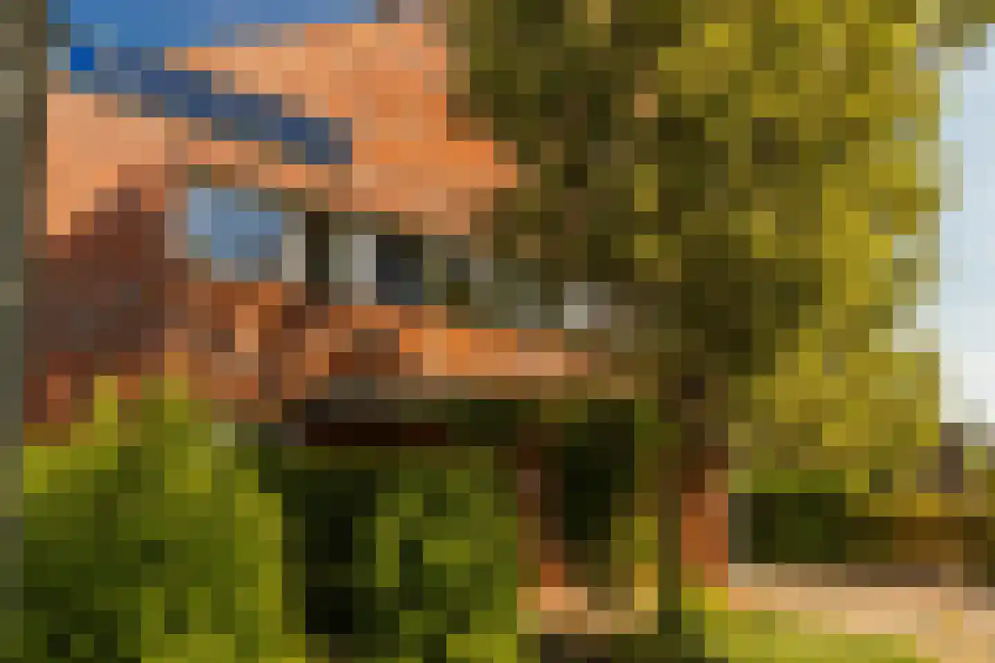 Bornerveldstraat 55 Born thumbnail 12