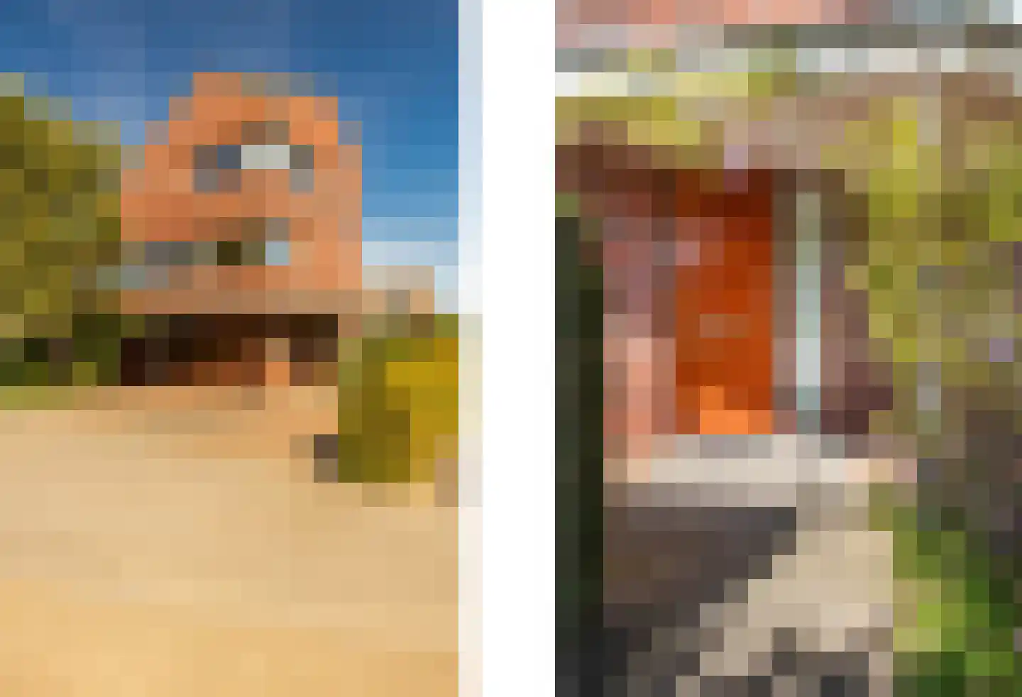 Bornerveldstraat 55 Born thumbnail 14