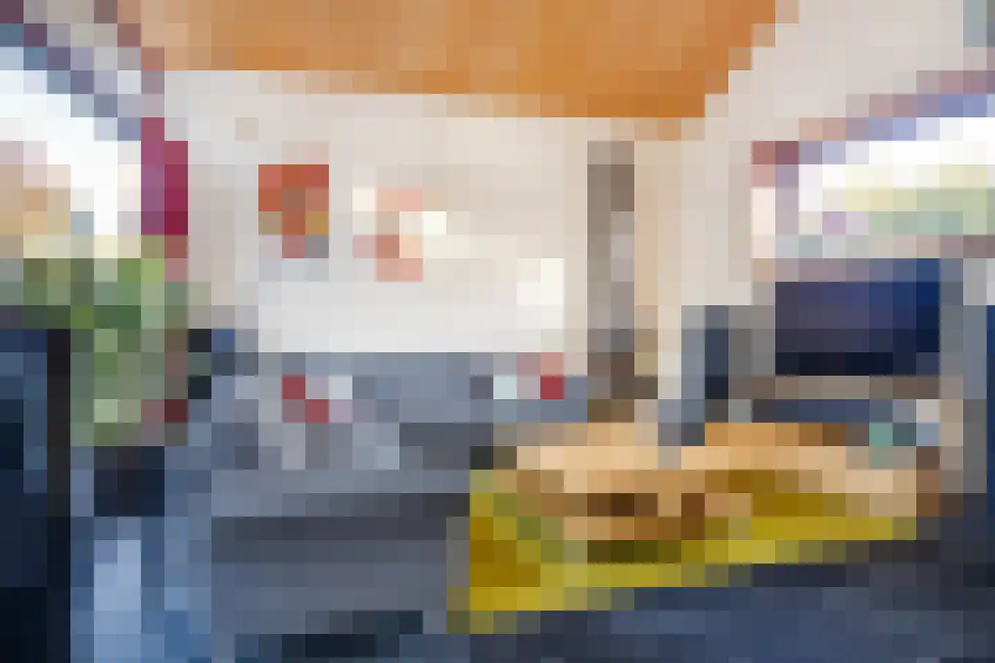 Bornerveldstraat 55 Born thumbnail 18