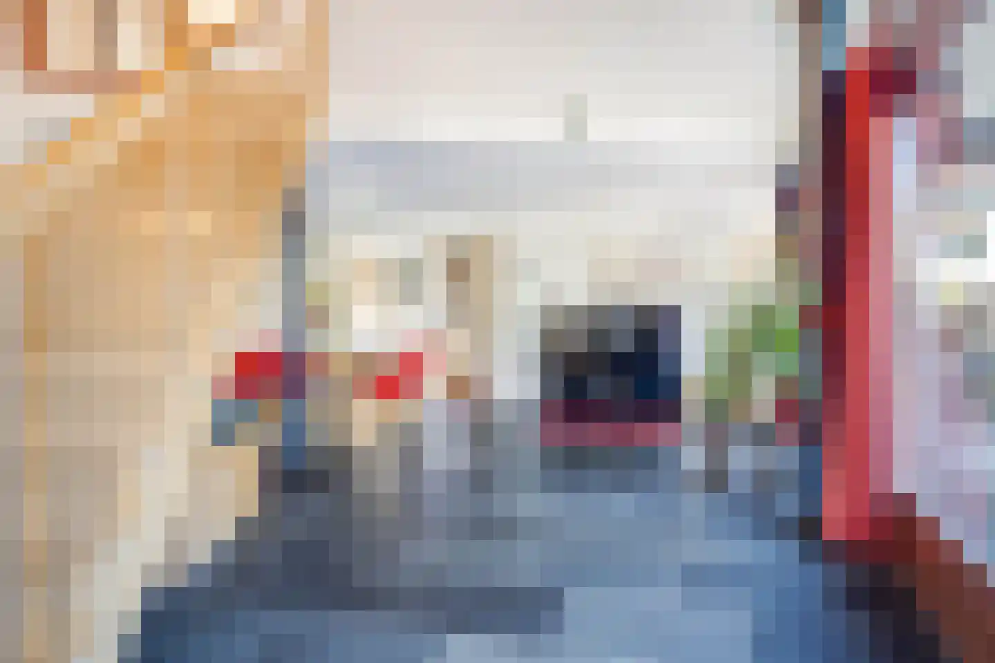 Bornerveldstraat 55 Born thumbnail 21