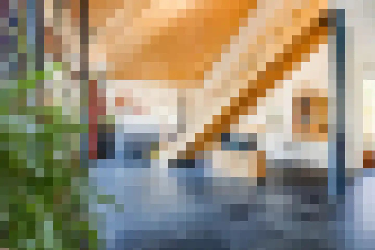 Bornerveldstraat 55 Born thumbnail 24