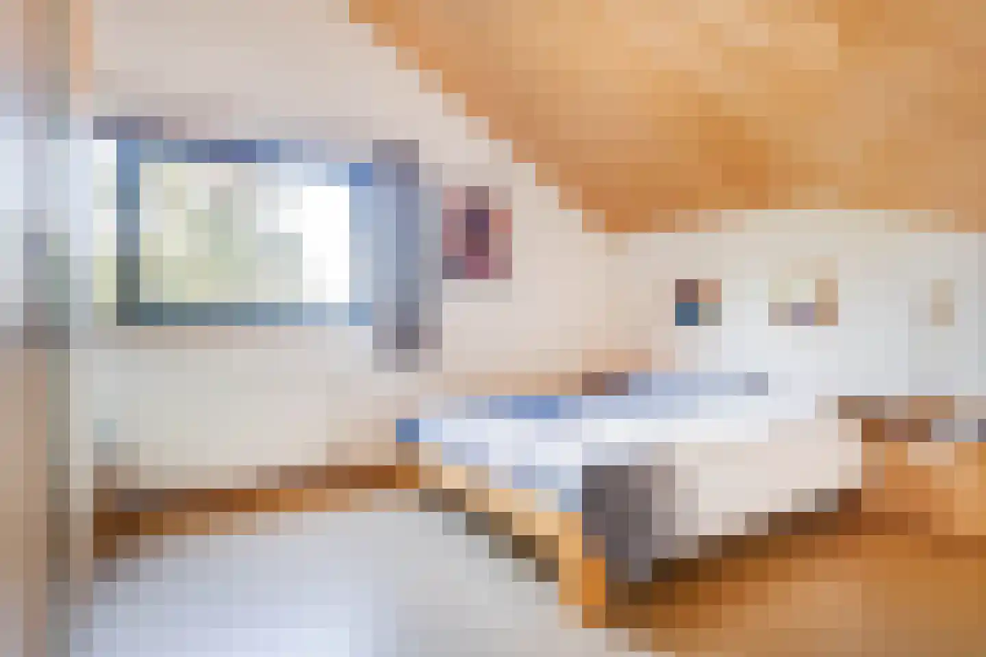 Bornerveldstraat 55 Born thumbnail 33