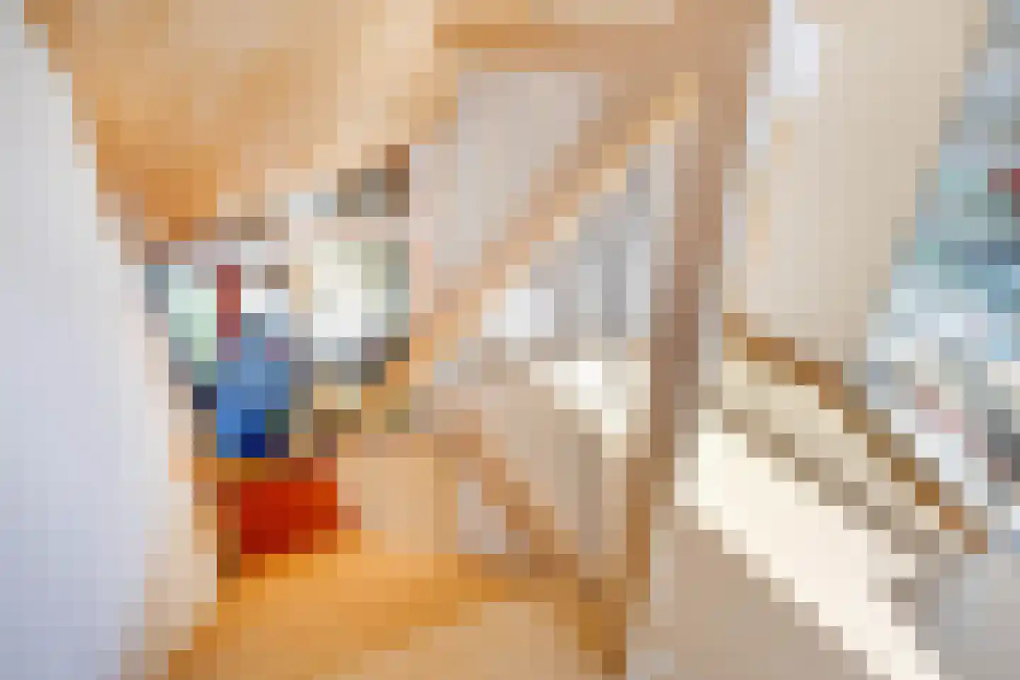 Bornerveldstraat 55 Born thumbnail 37
