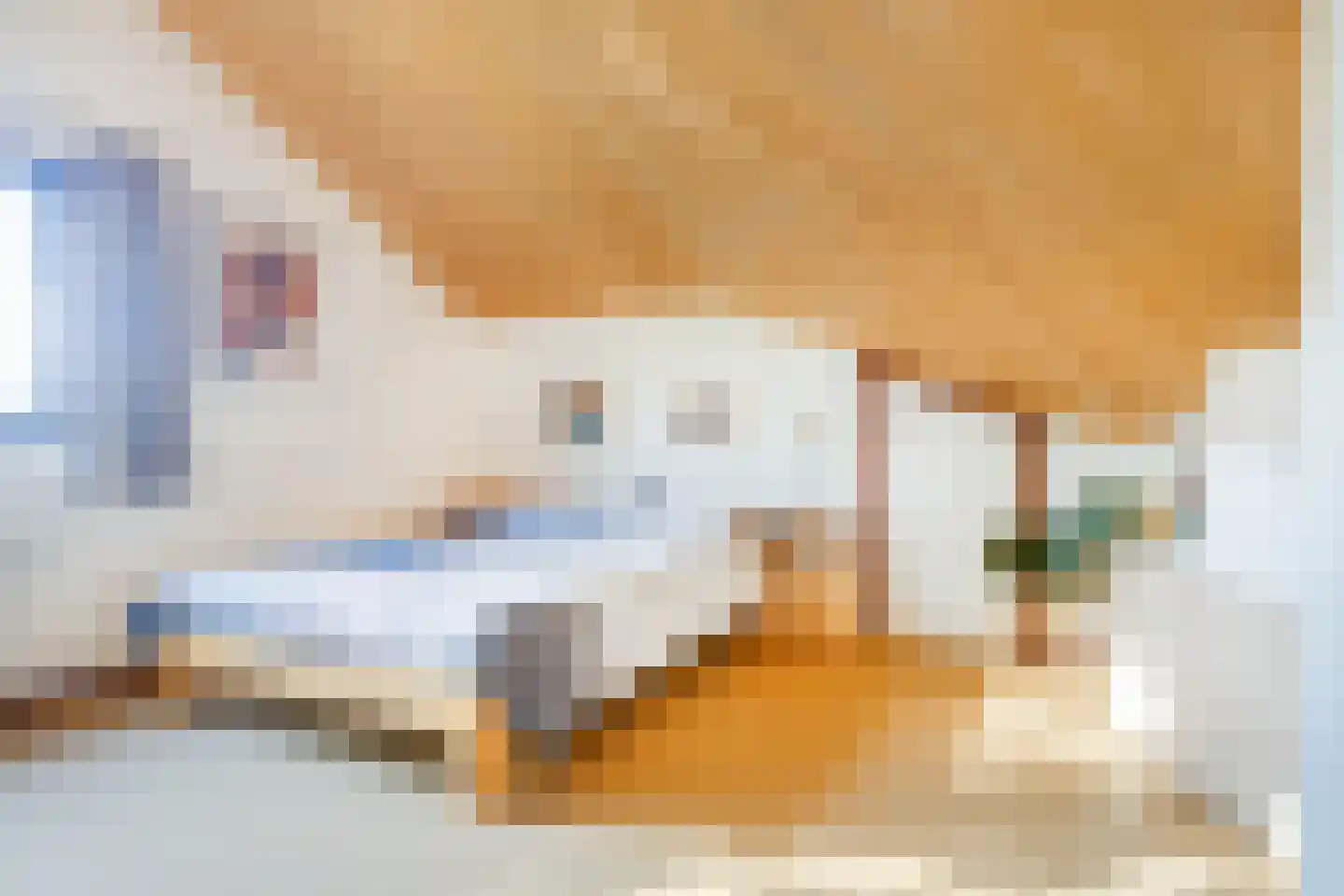 Bornerveldstraat 55 Born thumbnail 4