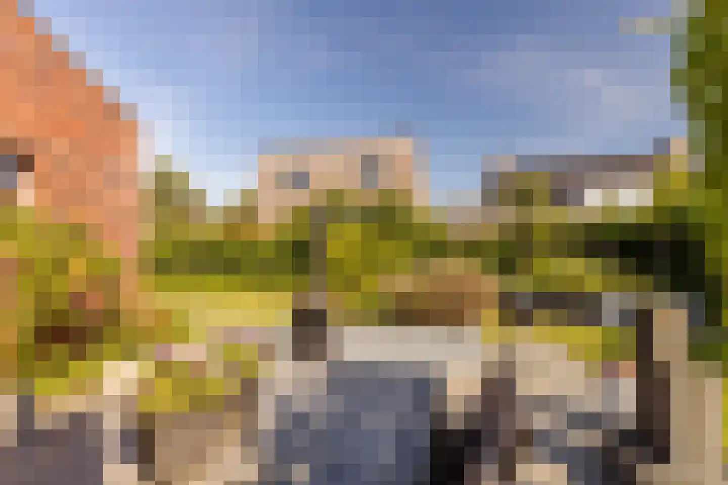 Bornerveldstraat 55 Born thumbnail 40