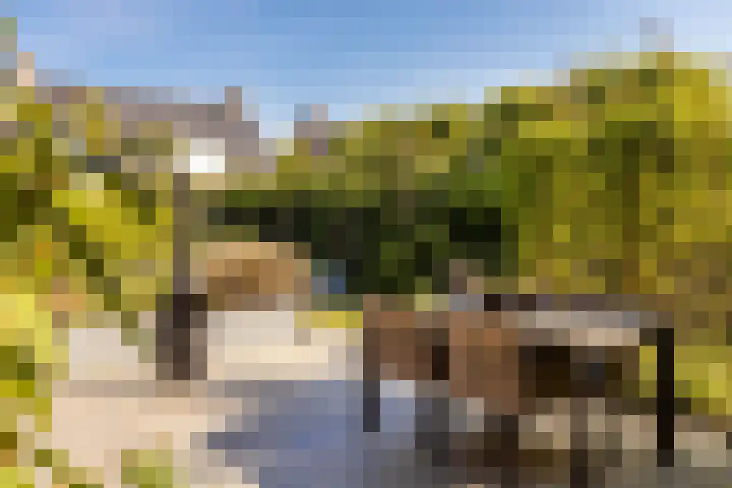 Bornerveldstraat 55 Born thumbnail 41