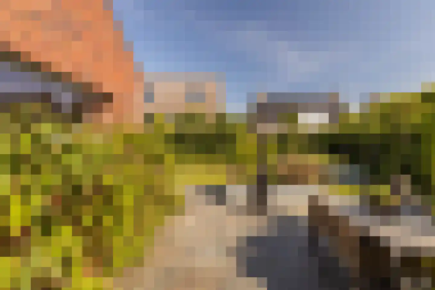 Bornerveldstraat 55 Born thumbnail 42