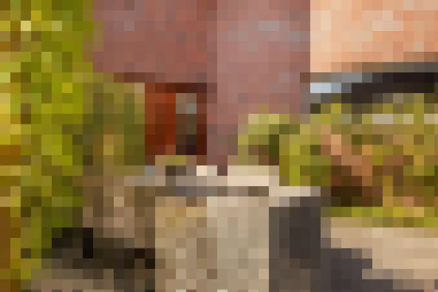 Bornerveldstraat 55 Born thumbnail 43