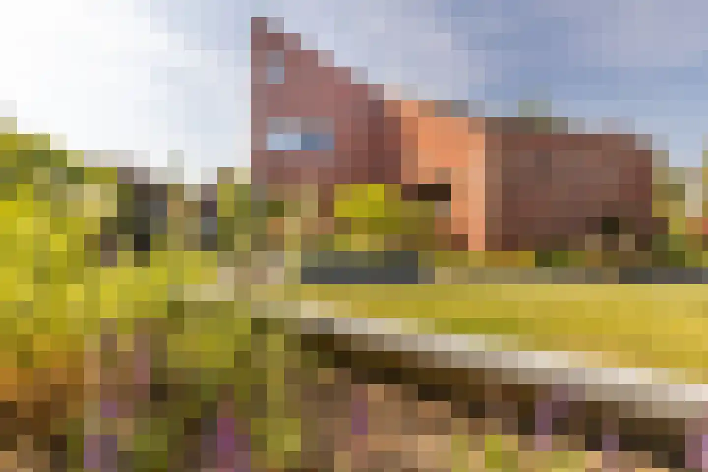 Bornerveldstraat 55 Born thumbnail 45