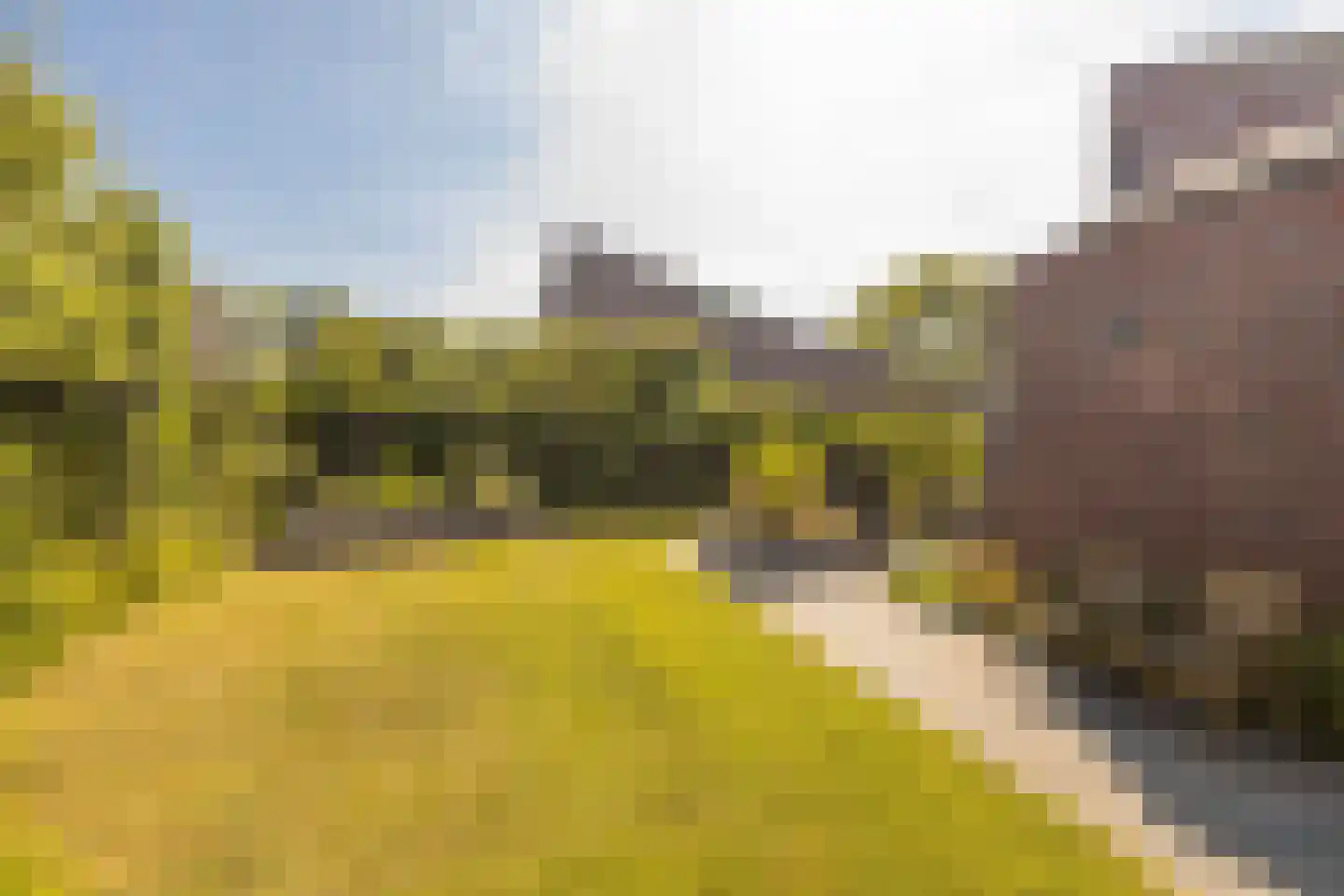 Bornerveldstraat 55 Born thumbnail 47