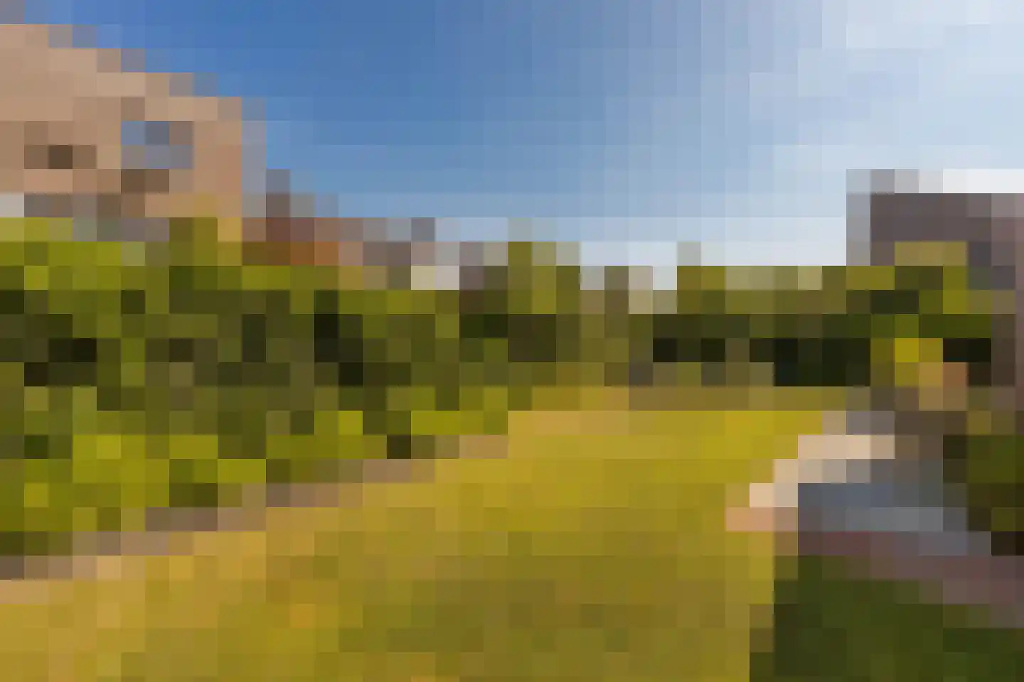 Bornerveldstraat 55 Born thumbnail 48
