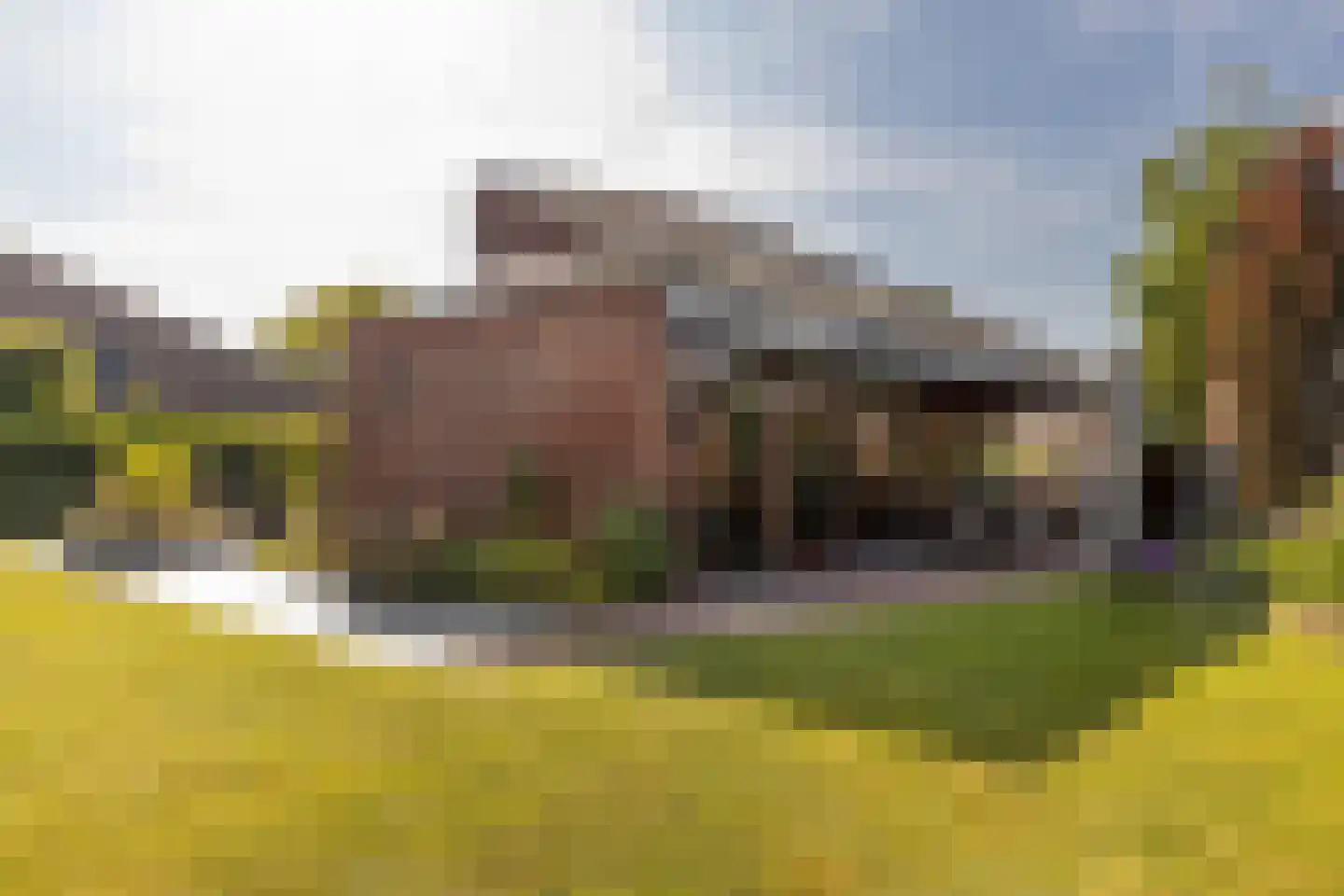 Bornerveldstraat 55 Born thumbnail 50