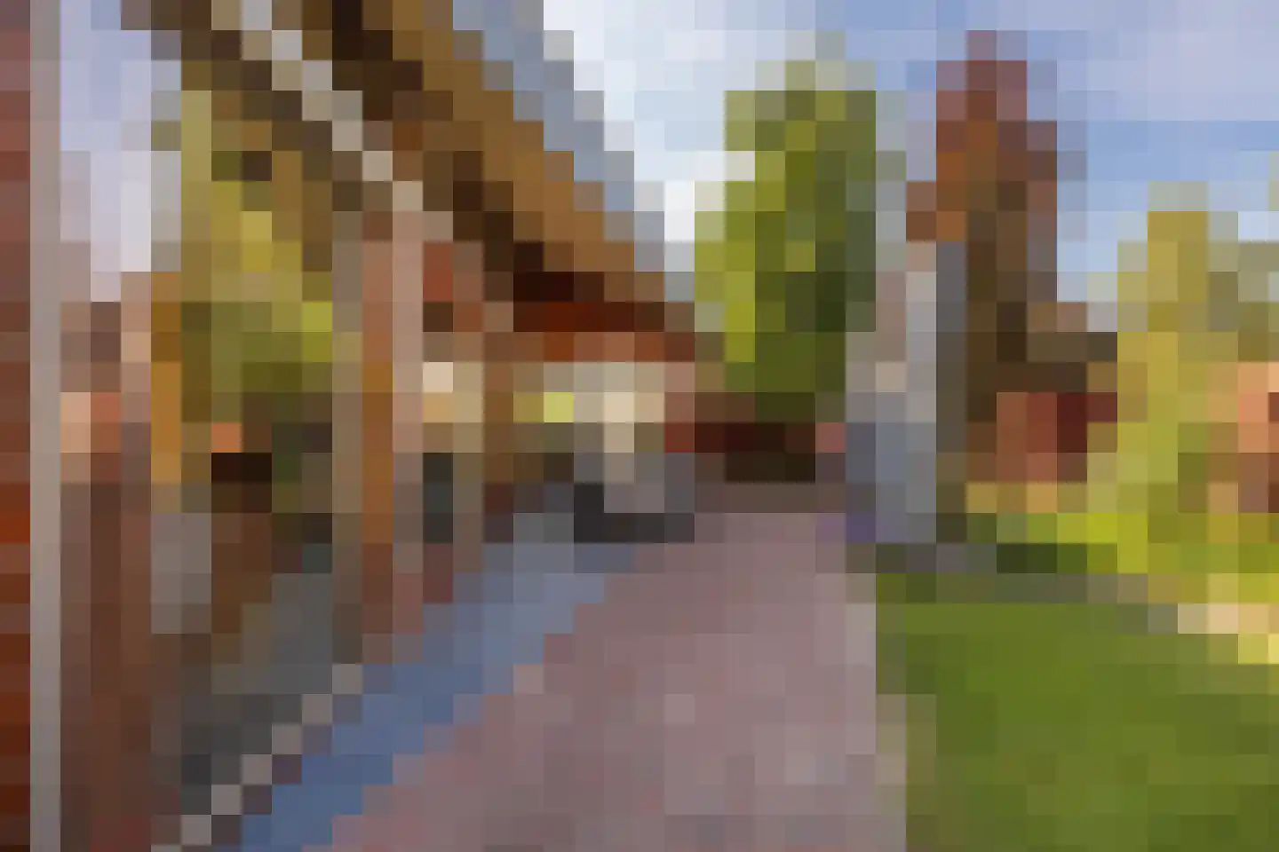 Bornerveldstraat 55 Born thumbnail 51