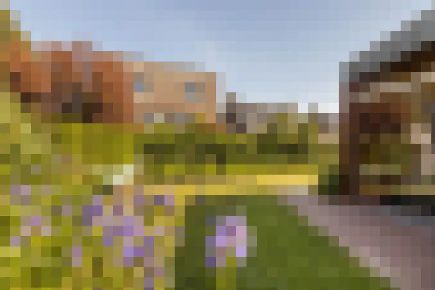Bornerveldstraat 55 Born thumbnail 53