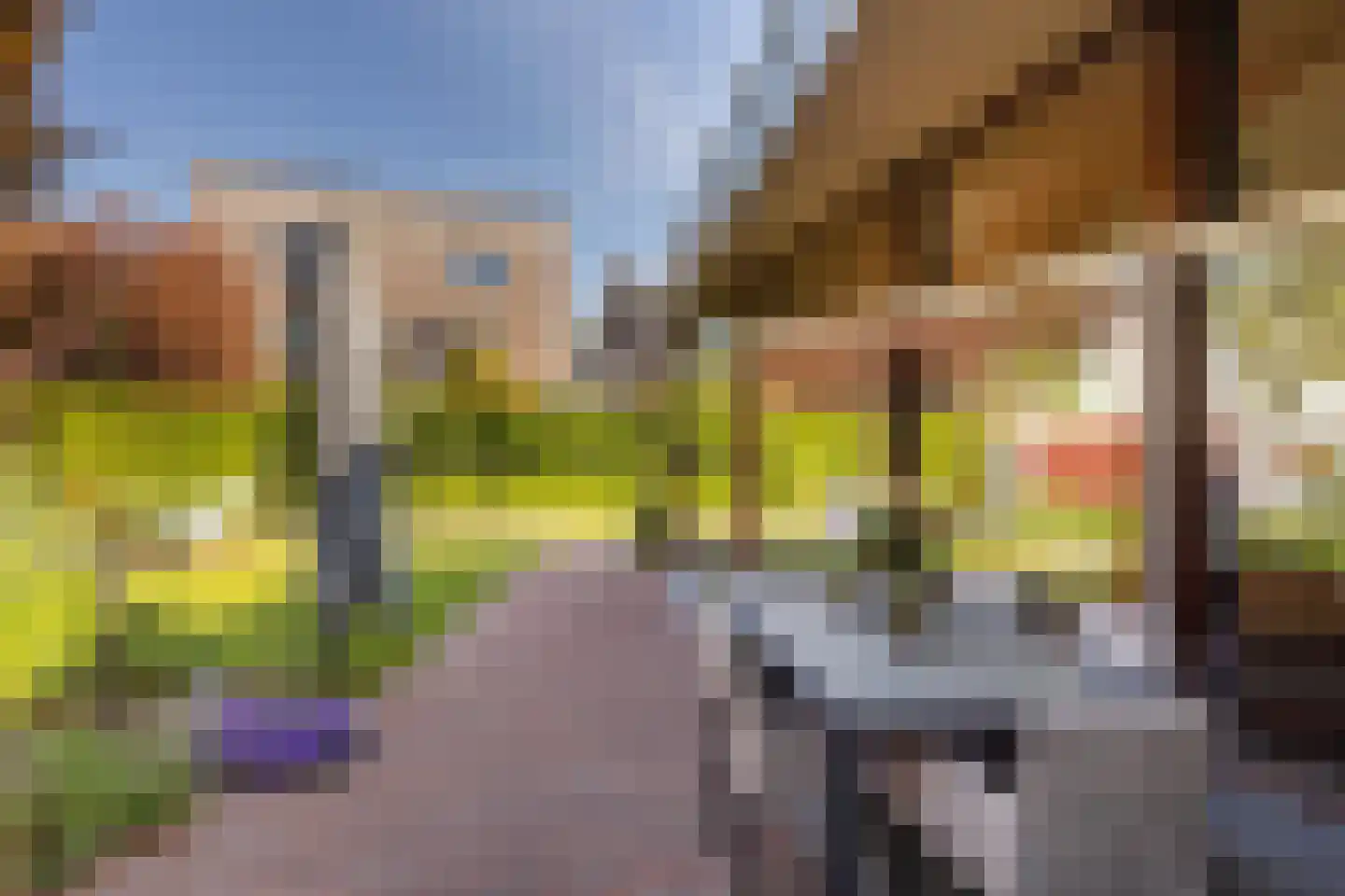 Bornerveldstraat 55 Born thumbnail 54