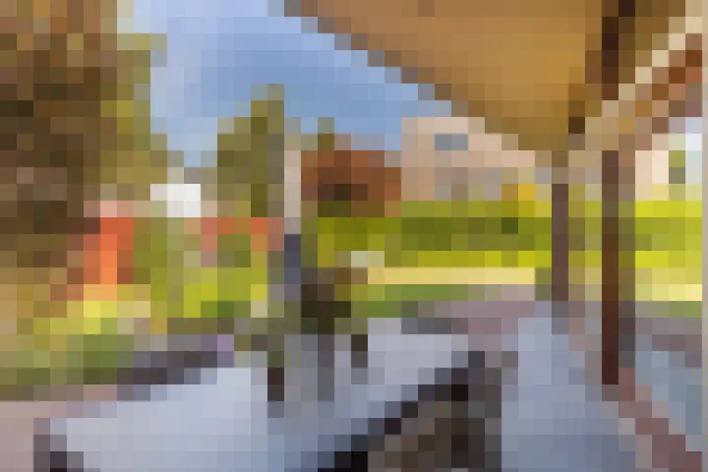 Bornerveldstraat 55 Born thumbnail 55