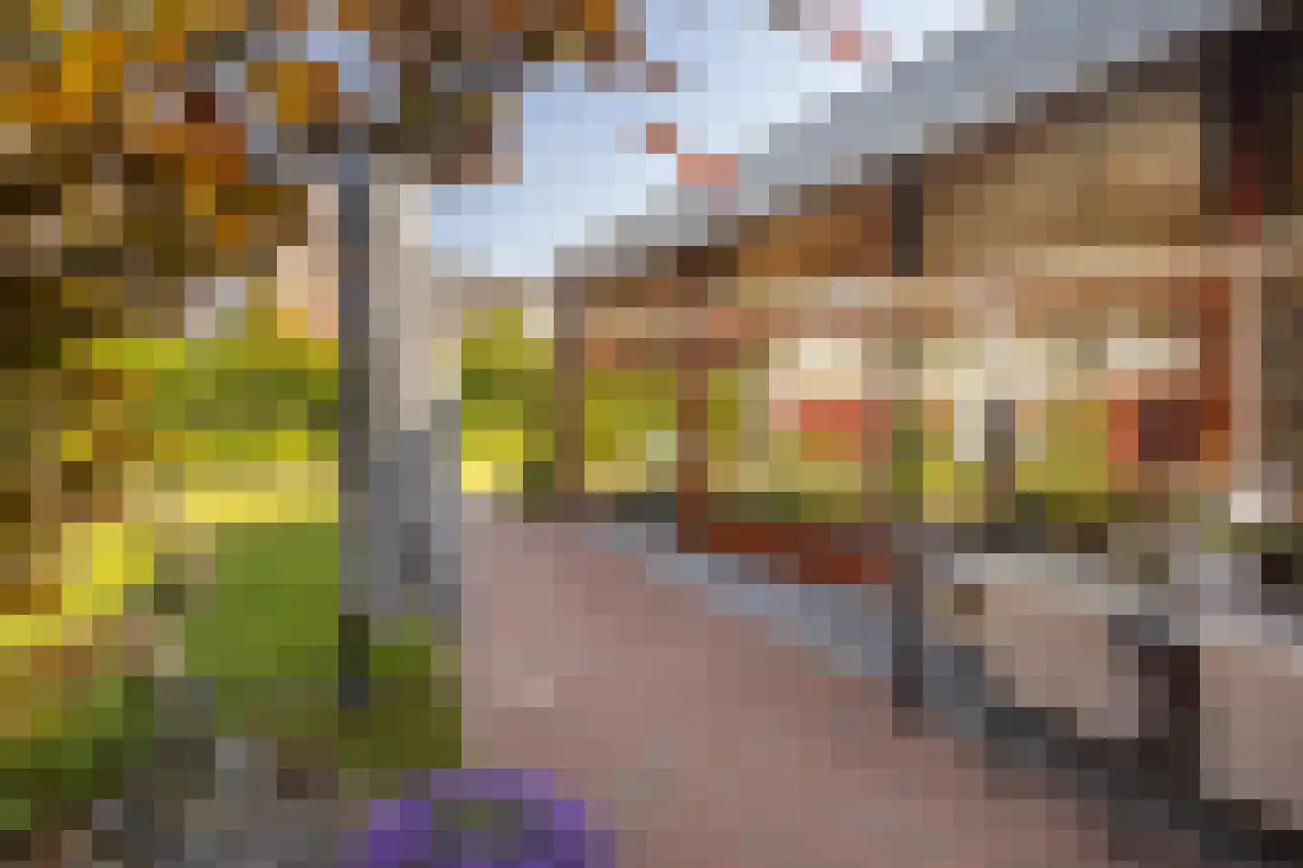 Bornerveldstraat 55 Born thumbnail 56