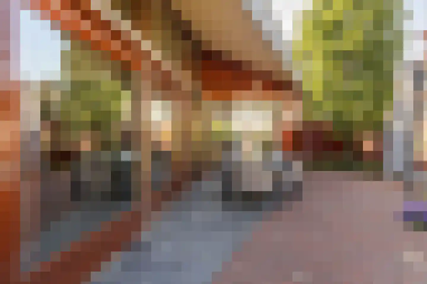 Bornerveldstraat 55 Born thumbnail 57