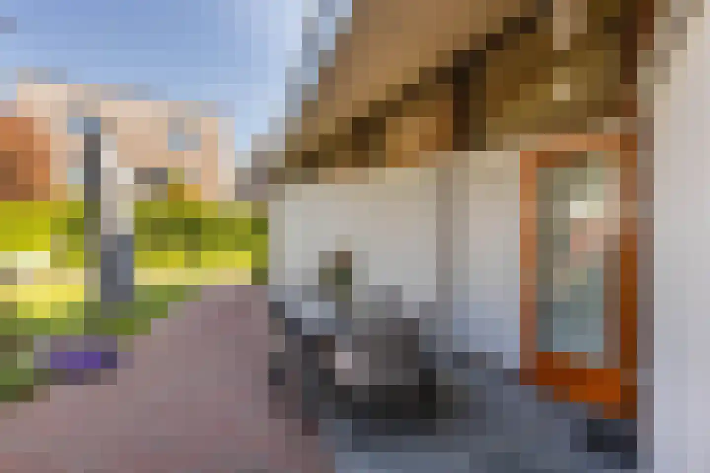Bornerveldstraat 55 Born thumbnail 58