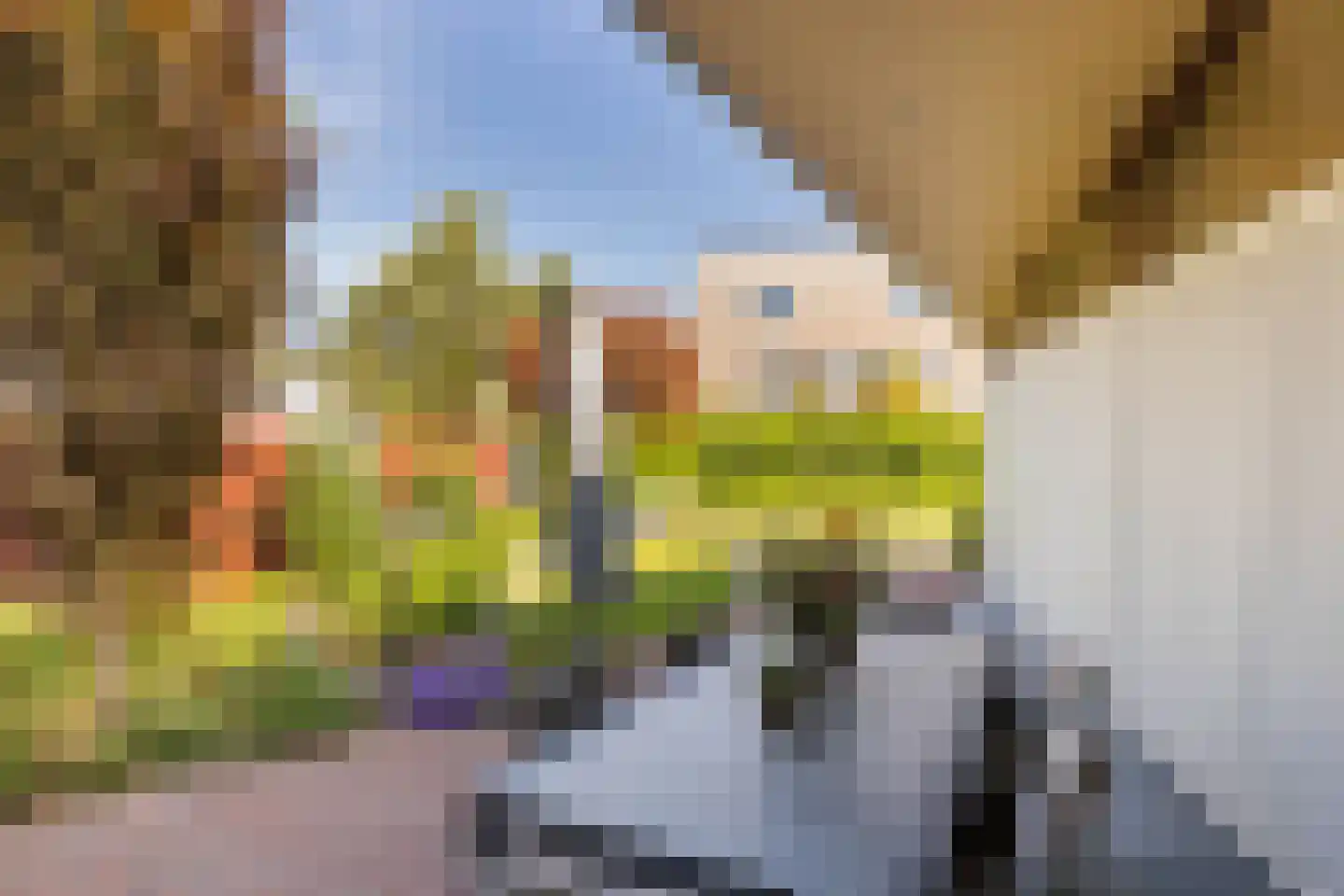 Bornerveldstraat 55 Born thumbnail 59