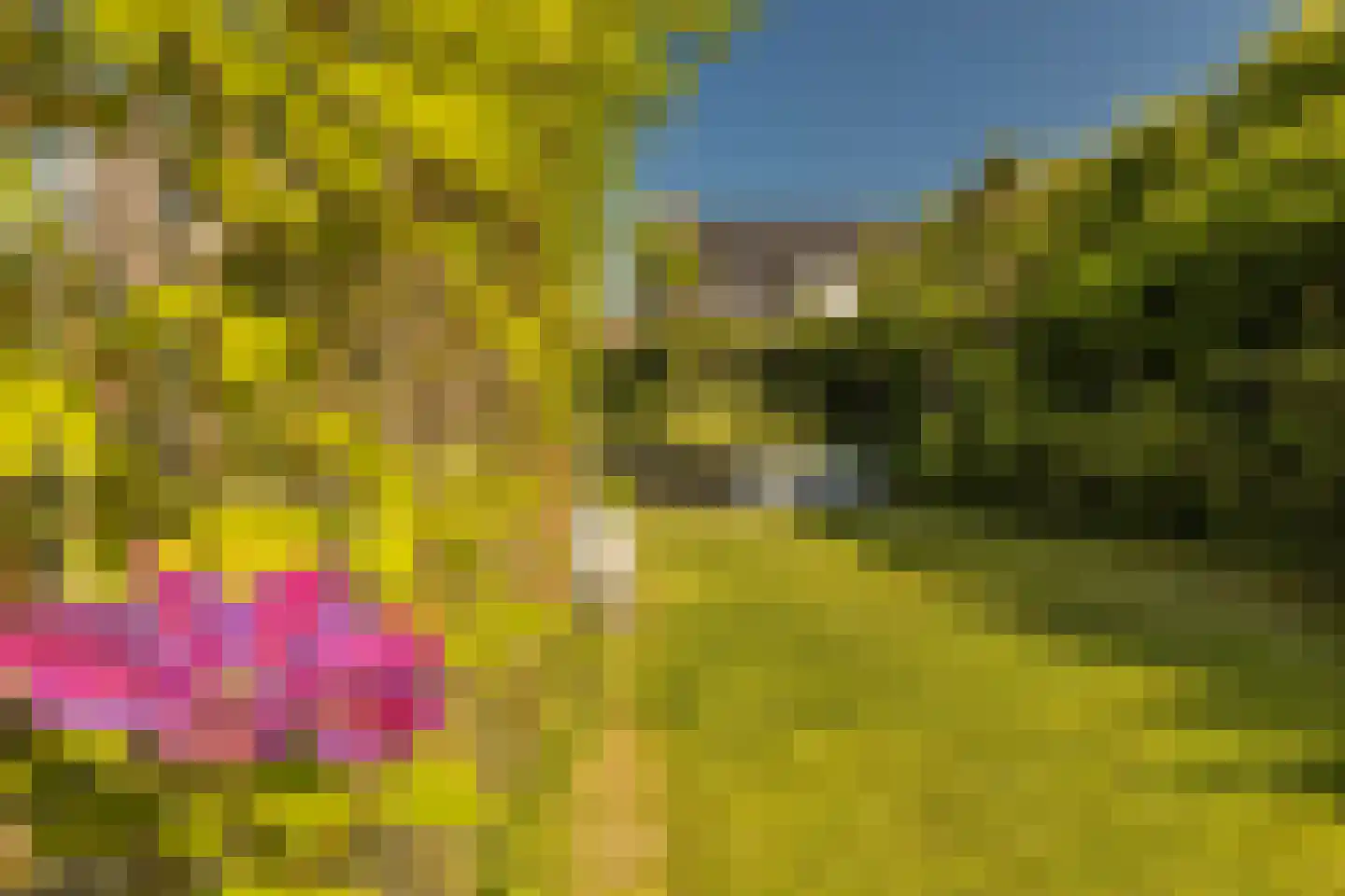 Bornerveldstraat 55 Born thumbnail 61