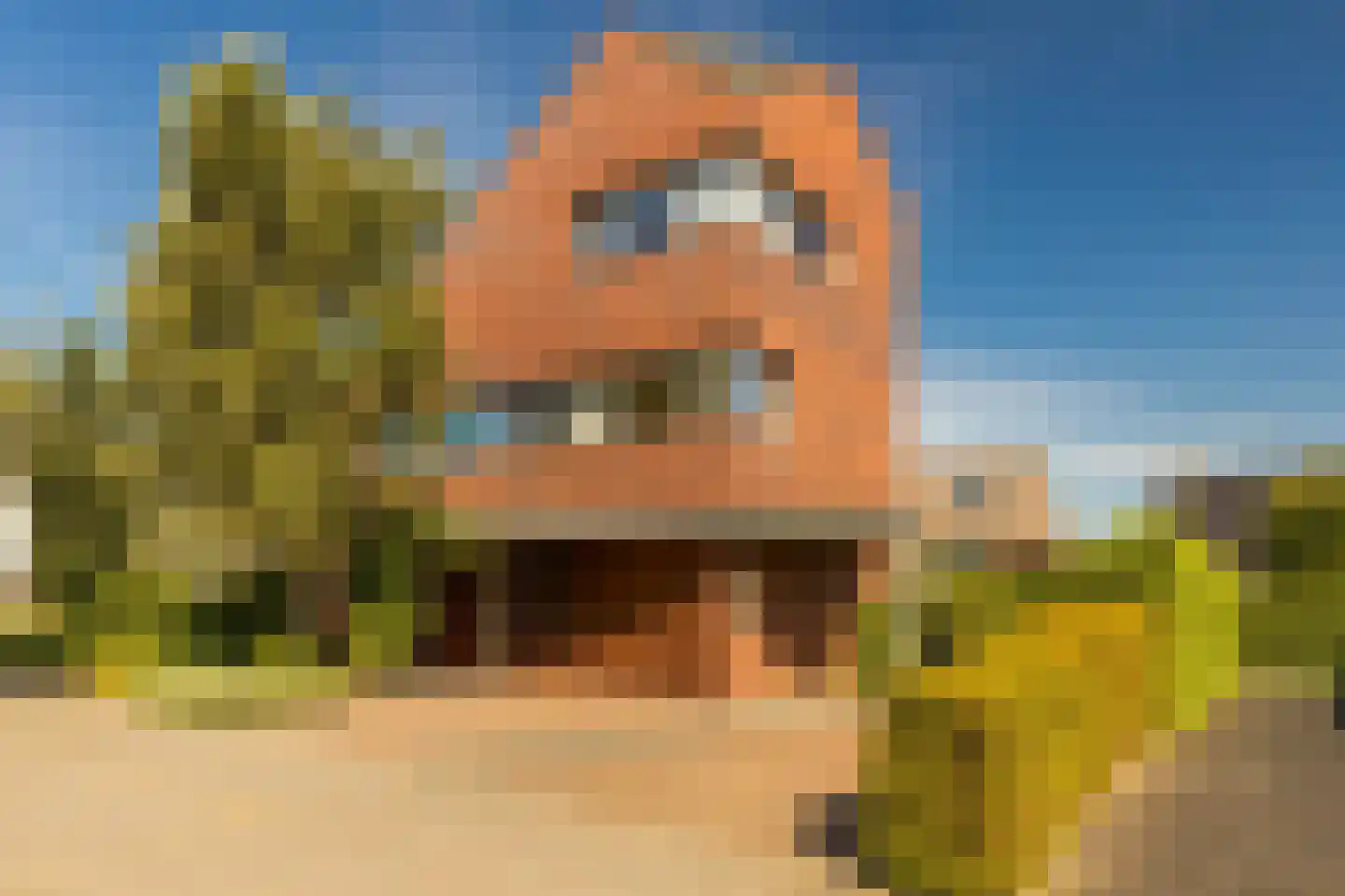 Bornerveldstraat 55 Born thumbnail 7