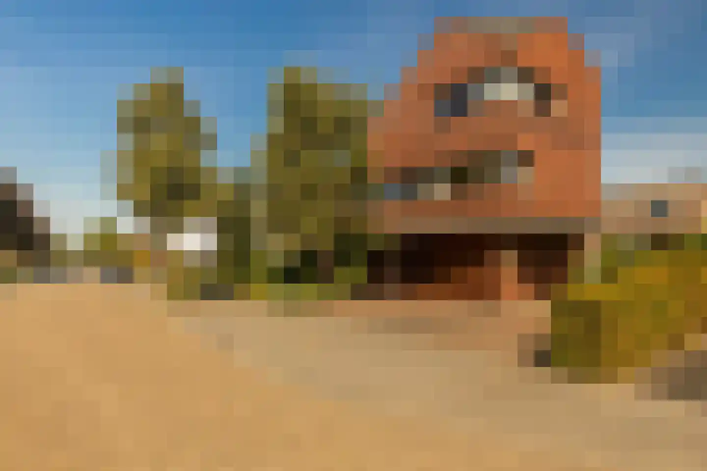 Bornerveldstraat 55 Born thumbnail 8