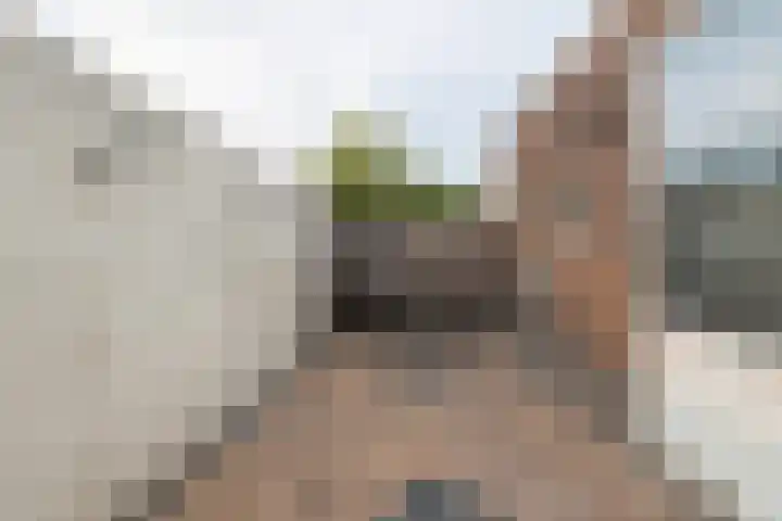 Bornerweg 18 Obbicht thumbnail 22