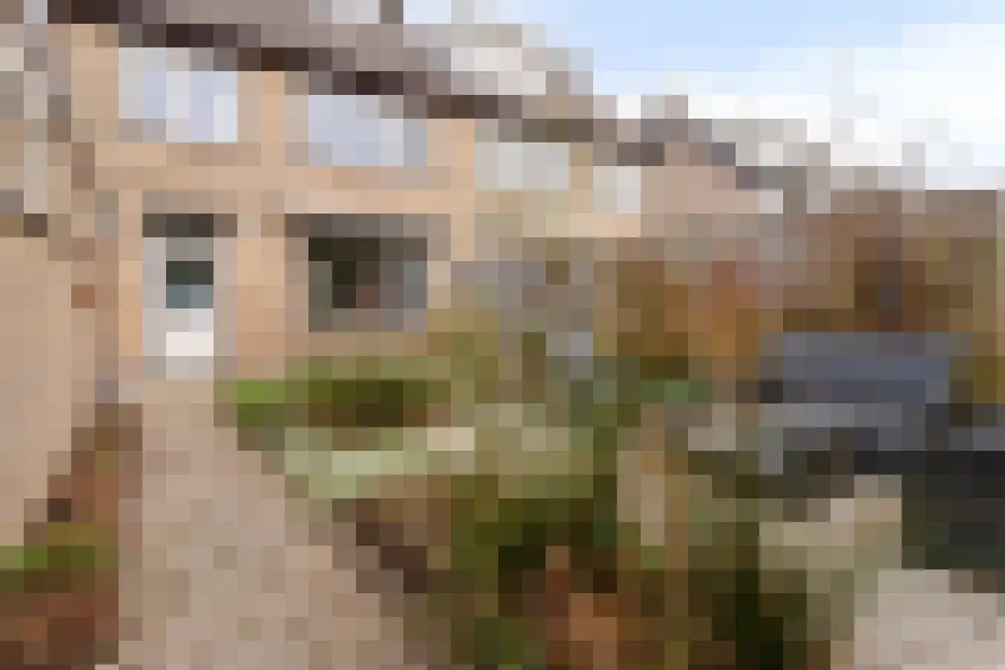 Bornhemweg 105 Oudenbosch thumbnail 25