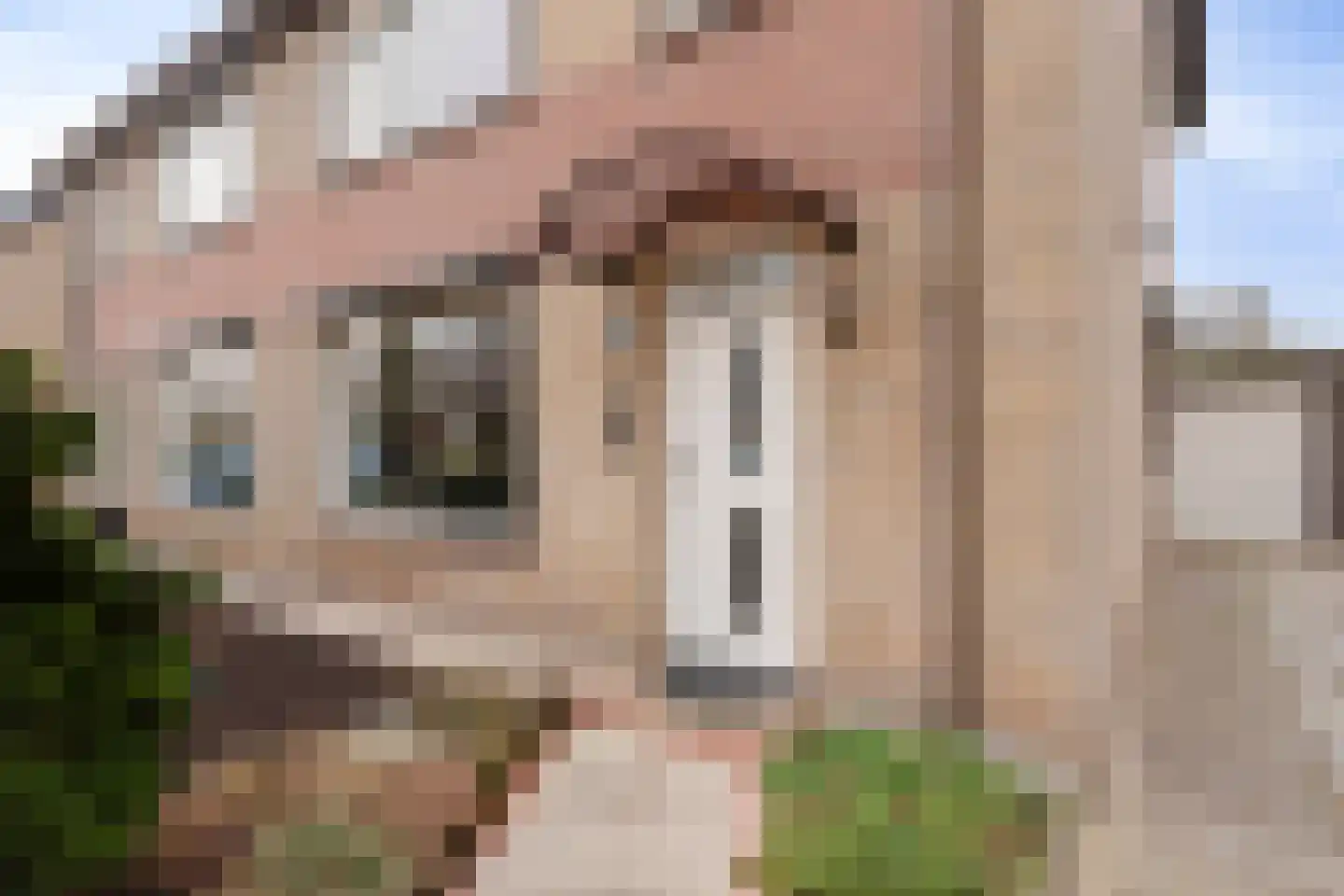 Bornhemweg 105 Oudenbosch thumbnail 4