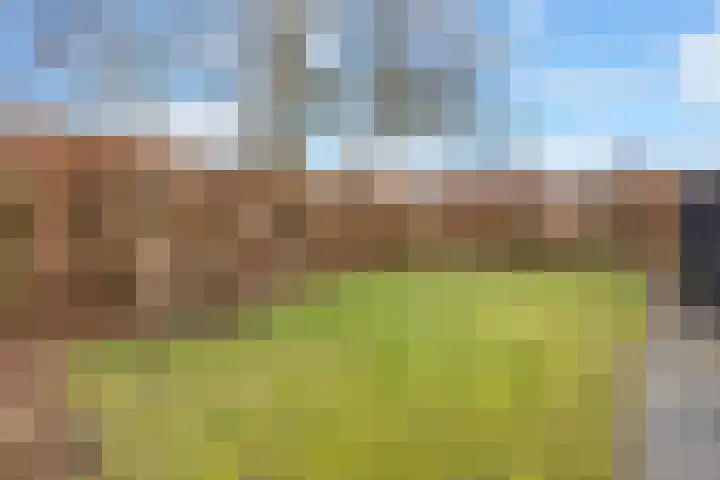 Bornhemweg 112 Oudenbosch thumbnail 45