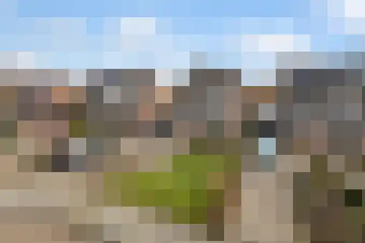 Bornhemweg 112 Oudenbosch thumbnail 50