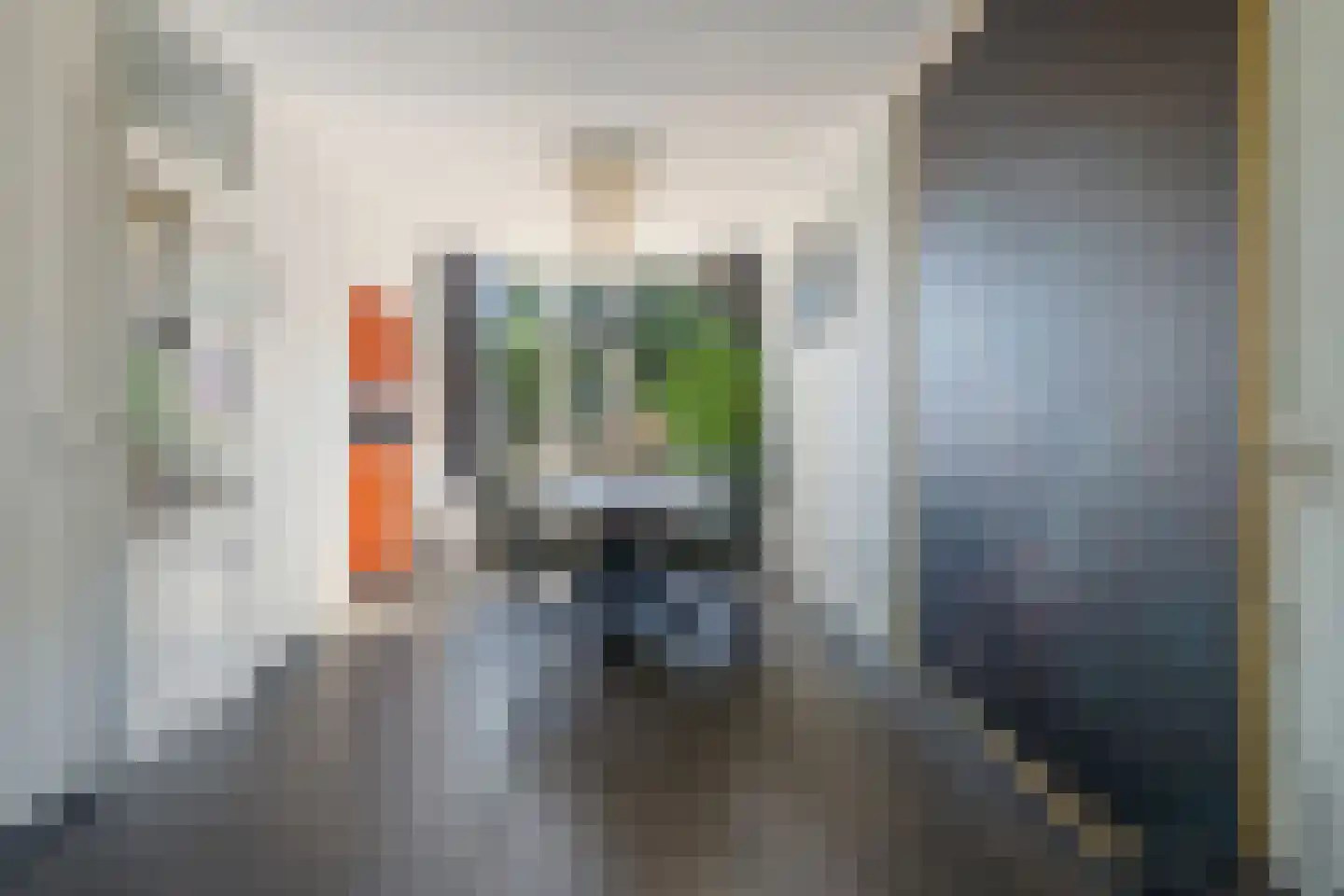 Bornhemweg 116 Oudenbosch thumbnail 10