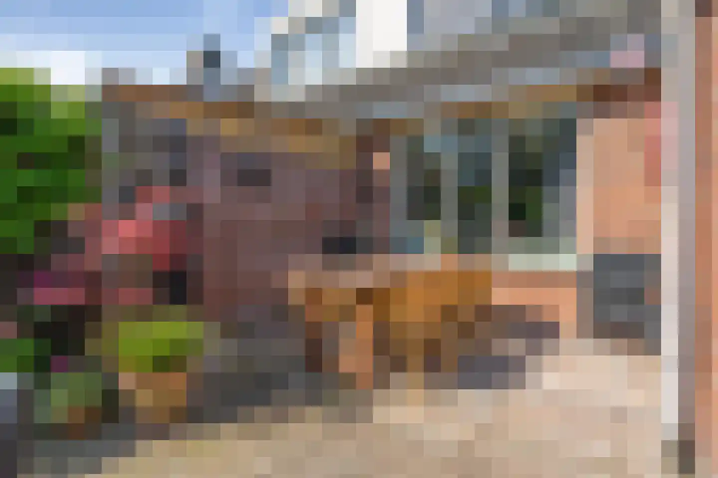 Bornhemweg 116 Oudenbosch thumbnail 27