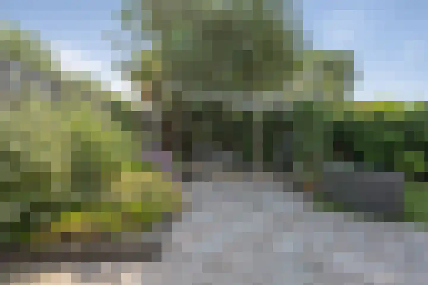 Bornhemweg 116 Oudenbosch thumbnail 29