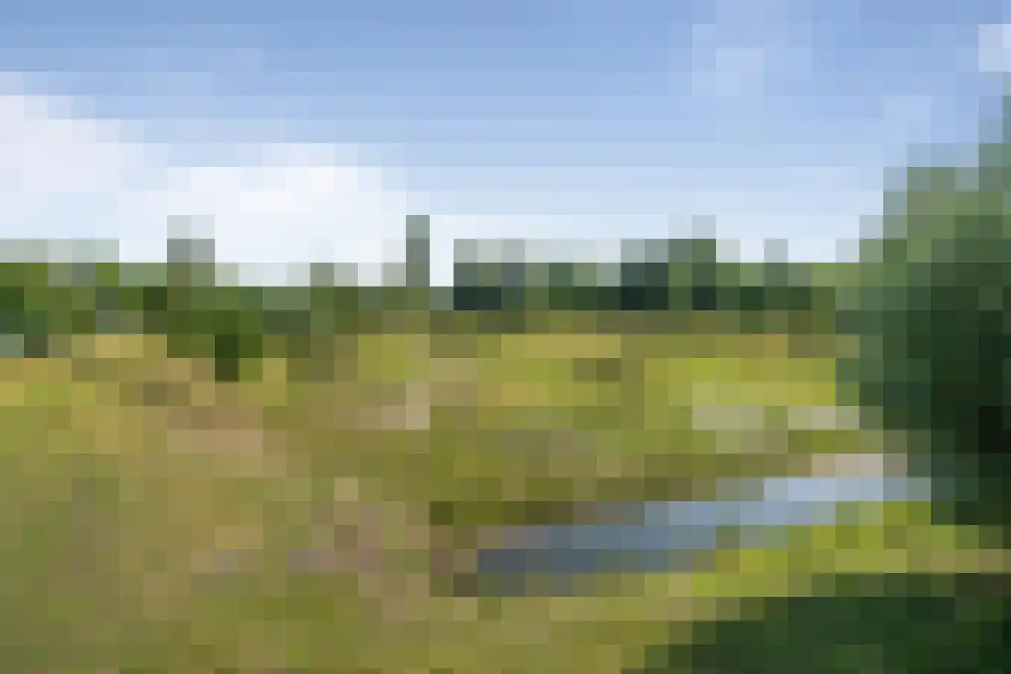 Bornhemweg 116 Oudenbosch thumbnail 31