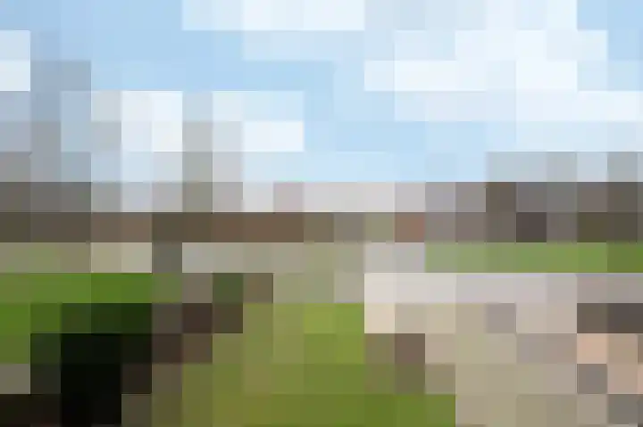 Bornhemweg 121 Oudenbosch thumbnail 4