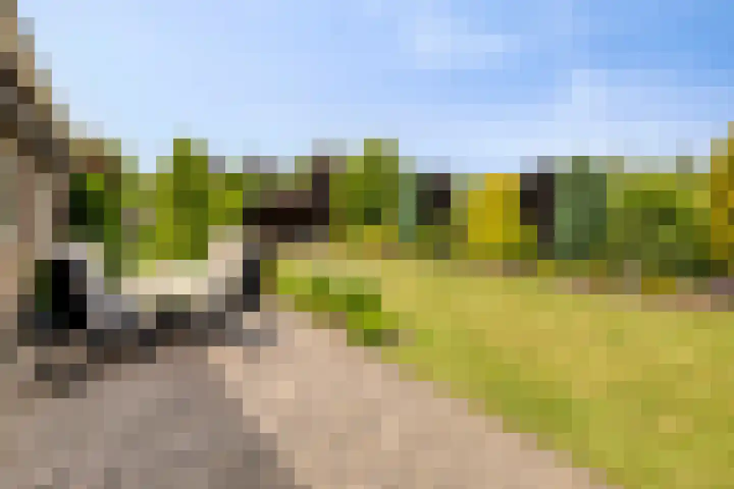 Bornhemweg 150 Oudenbosch thumbnail 24