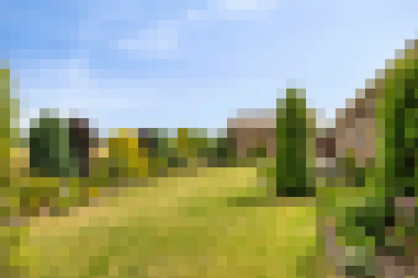 Bornhemweg 150 Oudenbosch thumbnail 26