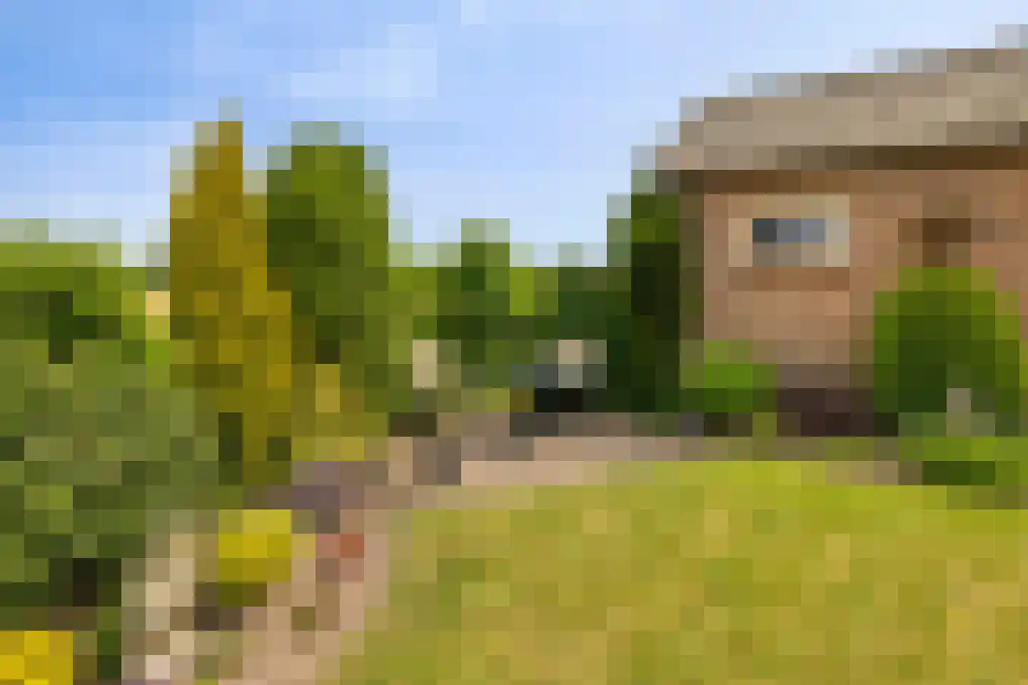 Bornhemweg 150 Oudenbosch thumbnail 28