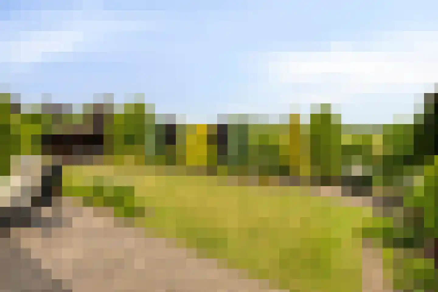 Bornhemweg 150 Oudenbosch thumbnail 29