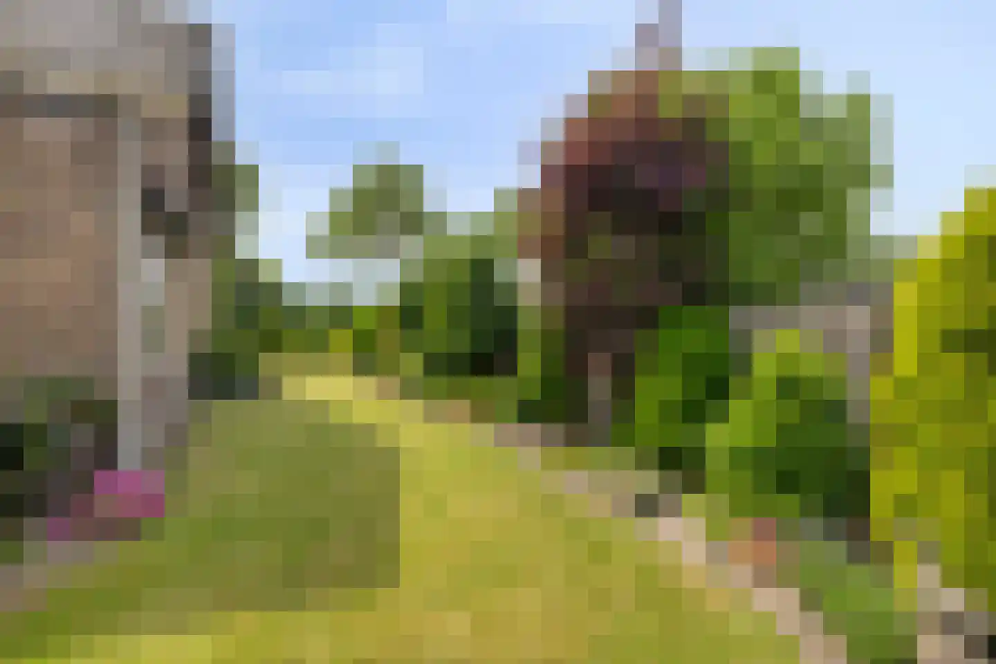 Bornhemweg 150 Oudenbosch thumbnail 31