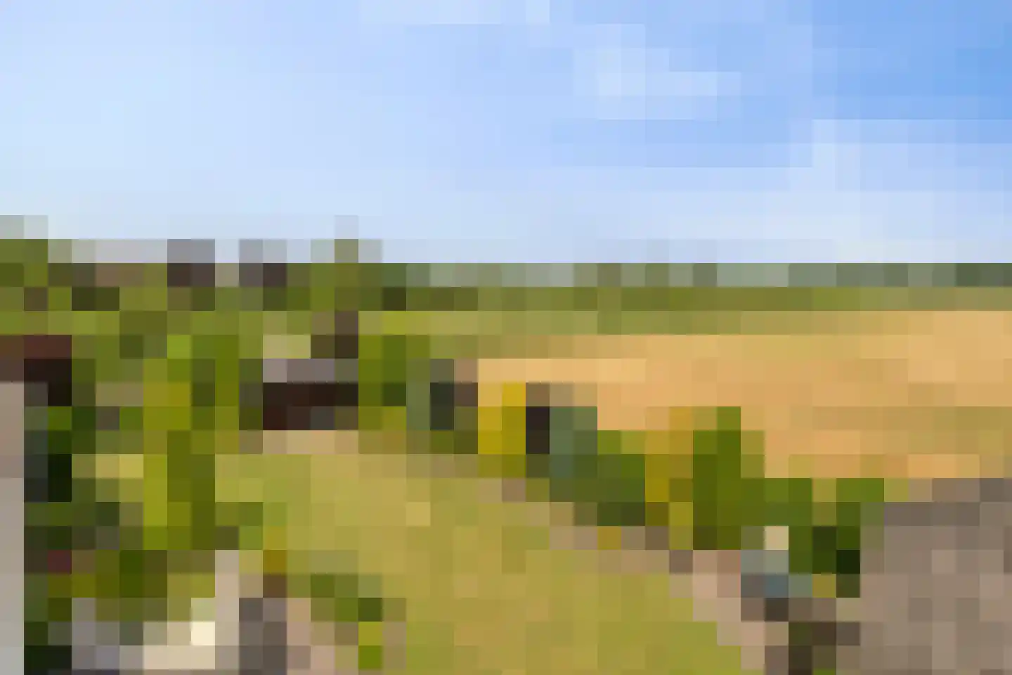 Bornhemweg 150 Oudenbosch thumbnail 34