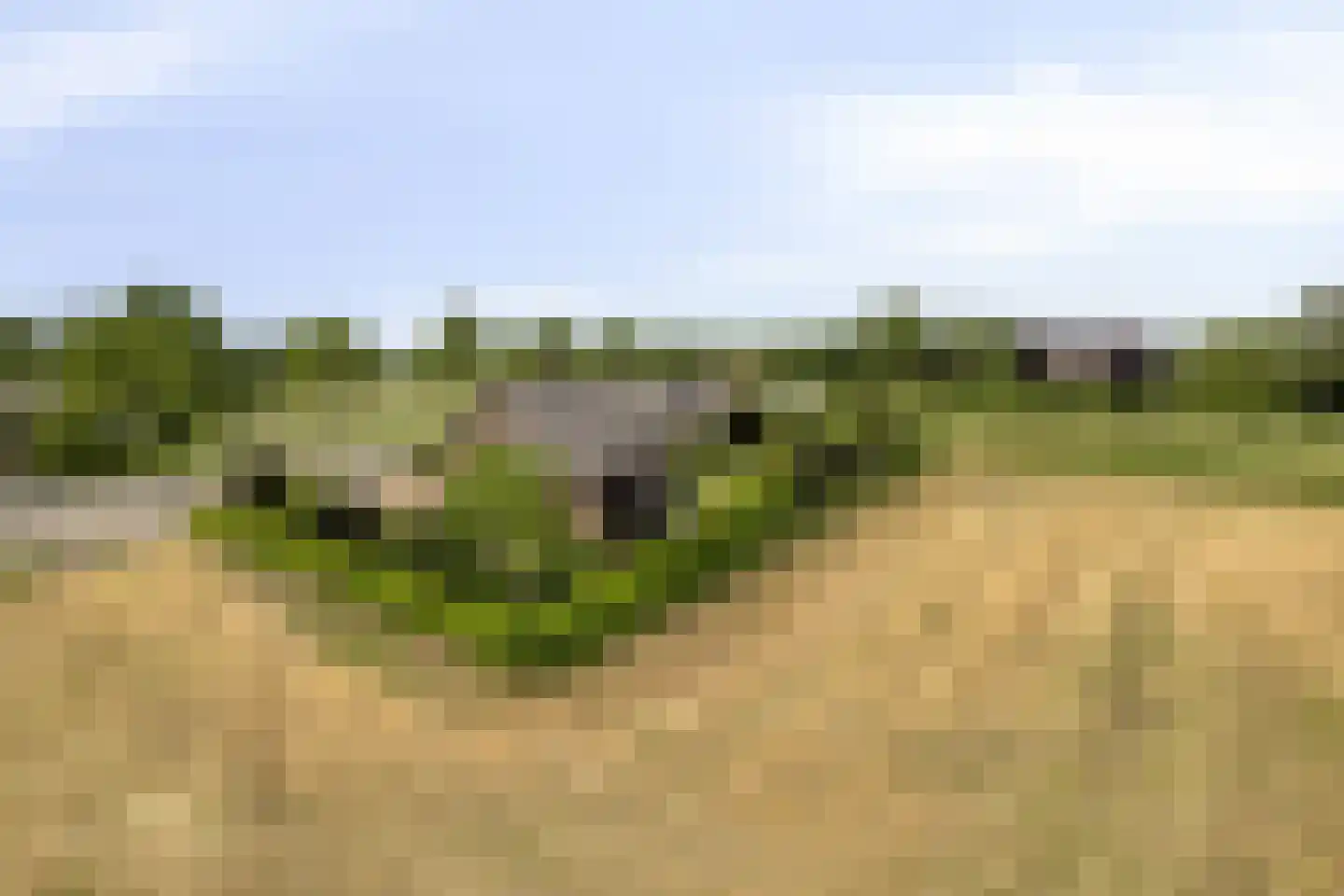 Bornhemweg 150 Oudenbosch thumbnail 36