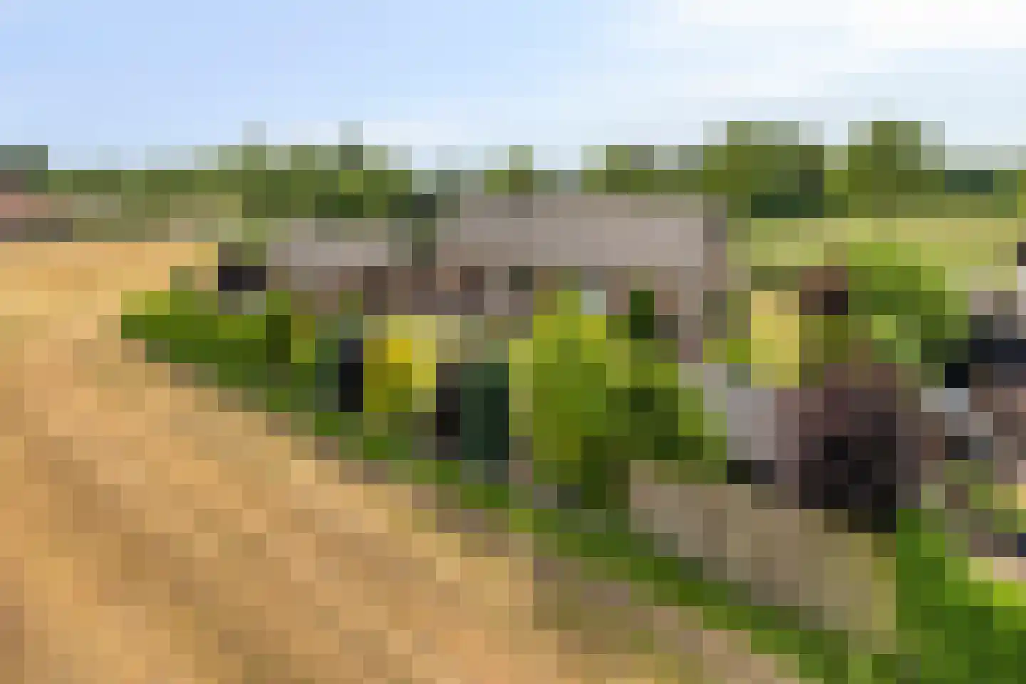 Bornhemweg 150 Oudenbosch thumbnail 37